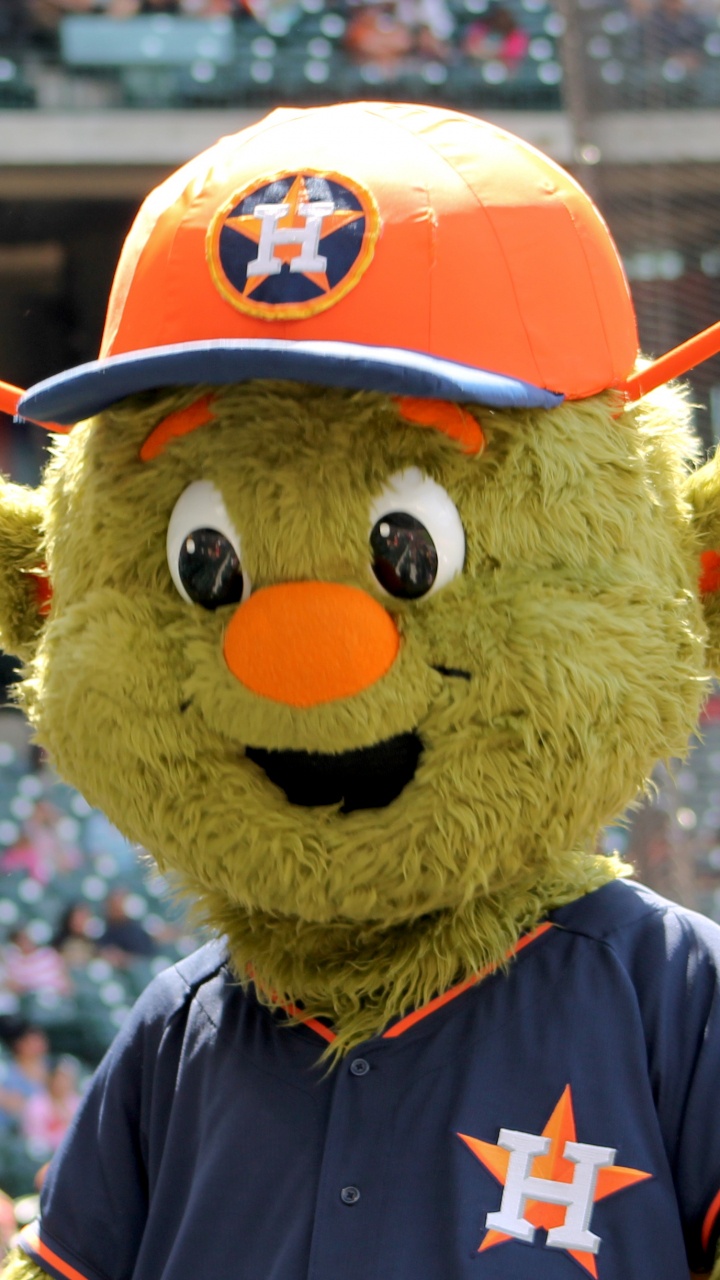 Braunbär im Blau-roten Hemd Mit Gelbem Und Rotem Hut. Wallpaper in 720x1280 Resolution