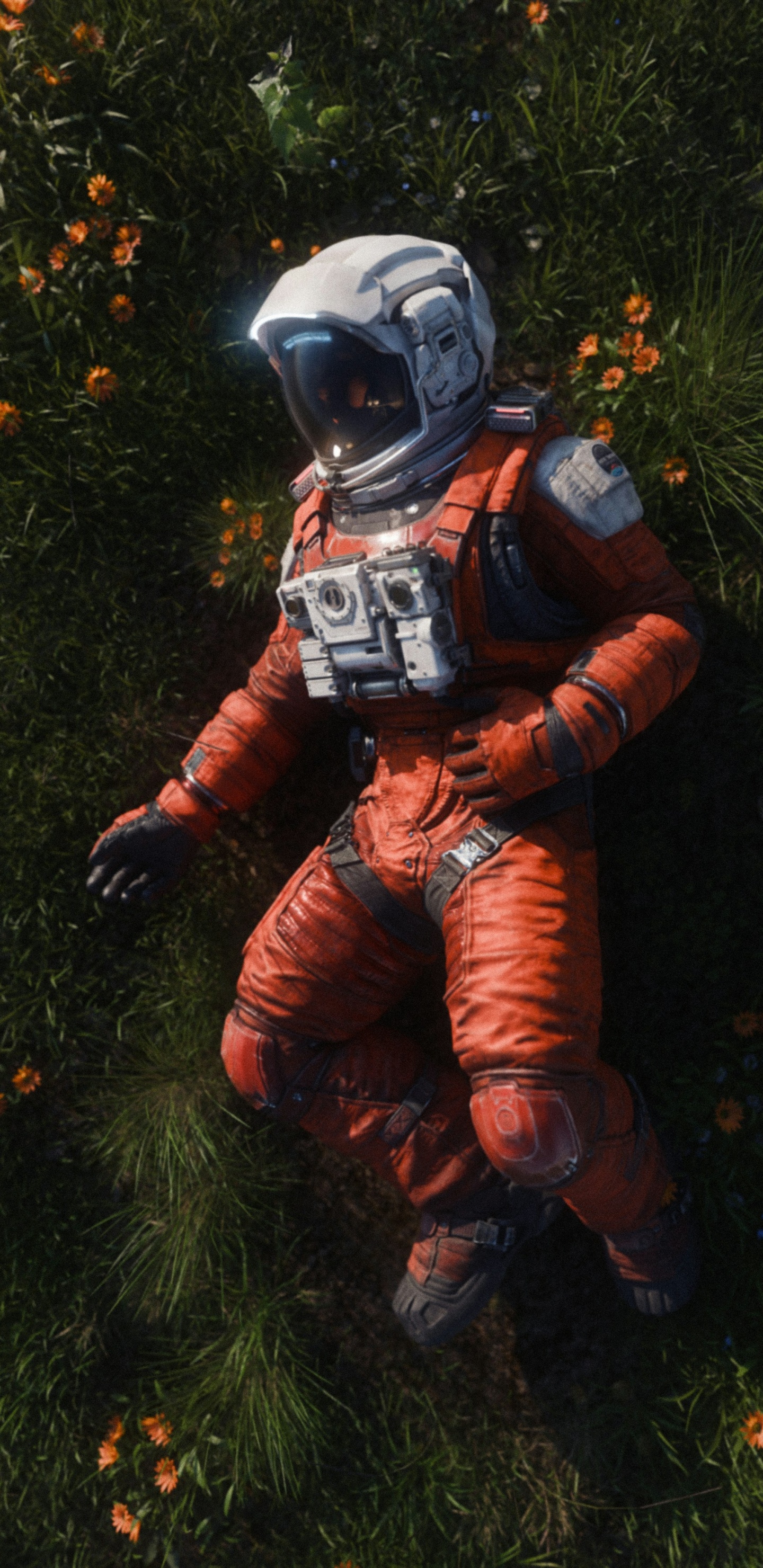 草, Youtube上的, 艺术, 概念艺术, 天文学对象 壁纸 1440x2960 允许