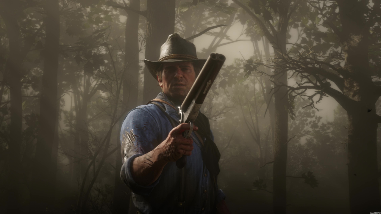 Red Dead Redemption 2, Red Dead Redemption, Rockstar Games, Forest, Fog. Wallpaper in 1280x720 Resolution