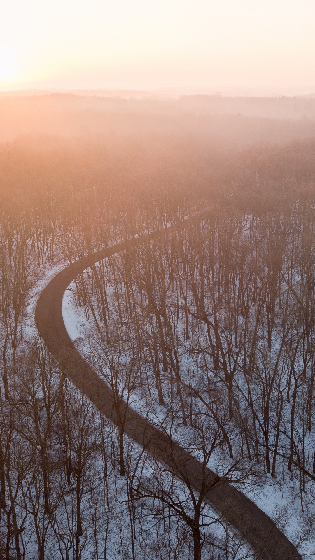 Bruma, Mañana, Niebla, Ambiente, la Luz Del Sol. Wallpaper in 1080x1920 Resolution