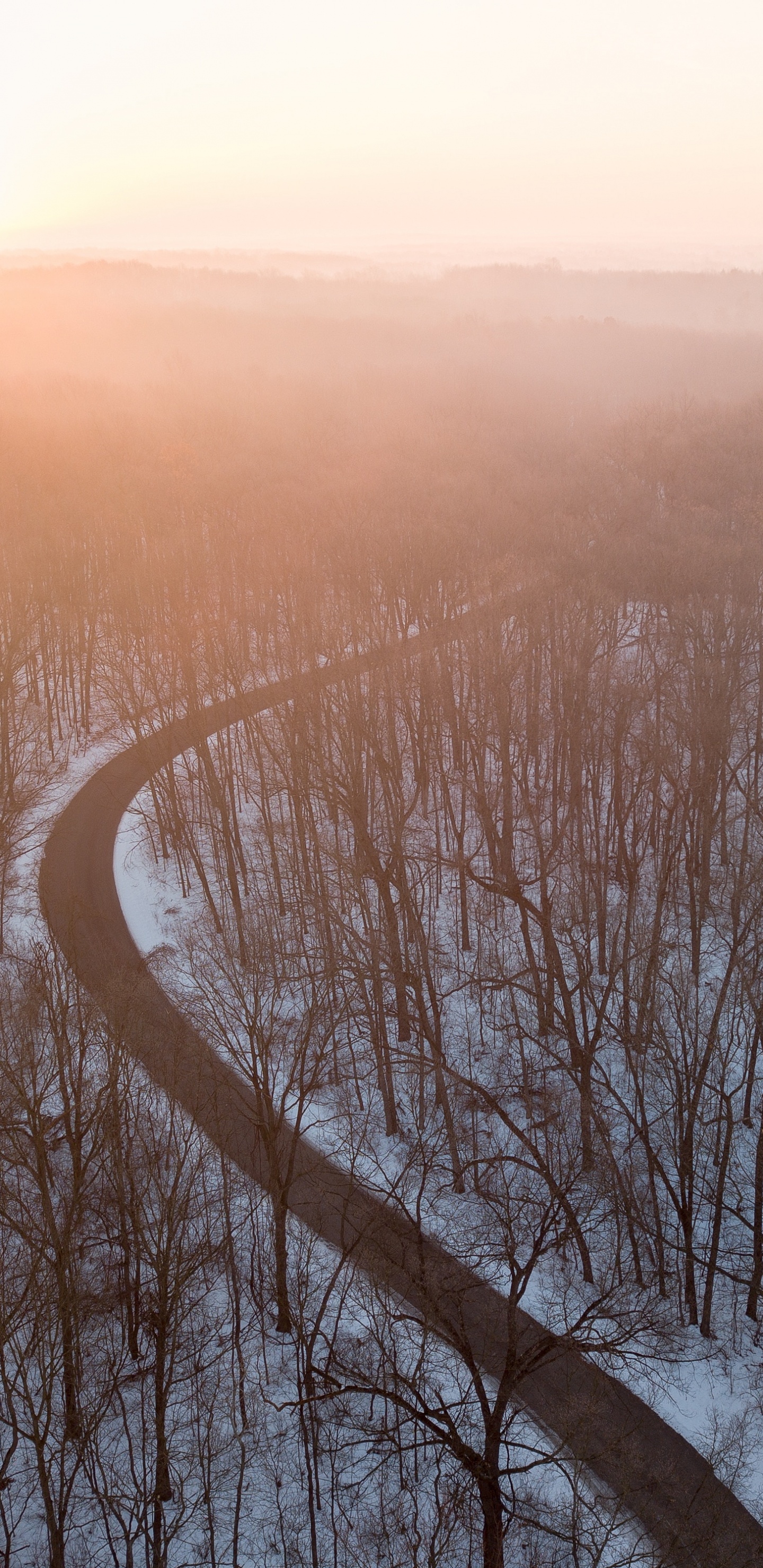 Bruma, Mañana, Niebla, Ambiente, la Luz Del Sol. Wallpaper in 1440x2960 Resolution