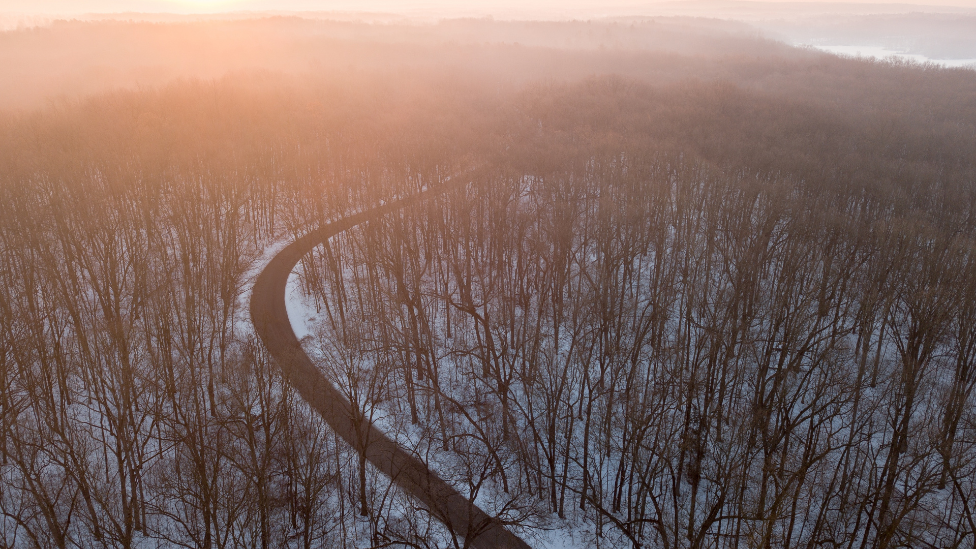 Bruma, Mañana, Niebla, Ambiente, la Luz Del Sol. Wallpaper in 1920x1080 Resolution