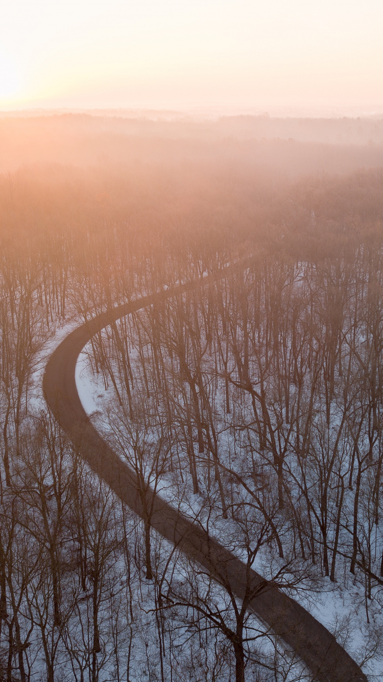 Bruma, Mañana, Niebla, Ambiente, la Luz Del Sol. Wallpaper in 750x1334 Resolution