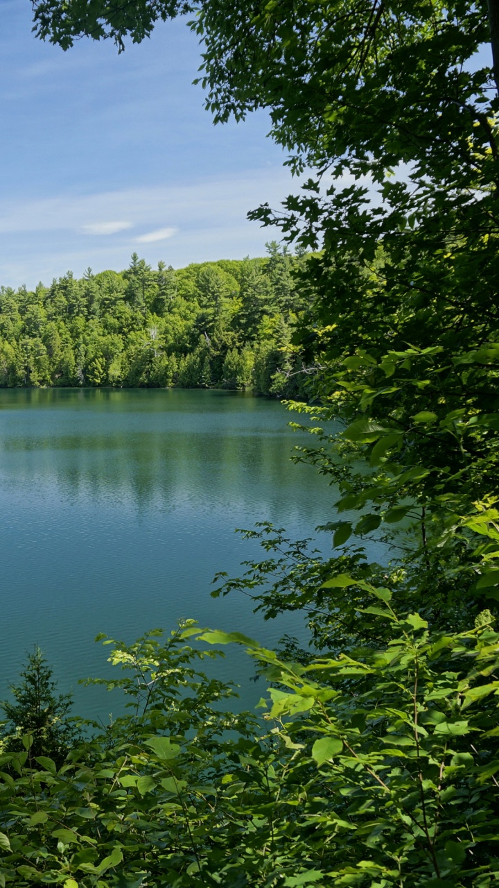 Green Trees Beside Lake During Daytime. Wallpaper in 720x1280 Resolution