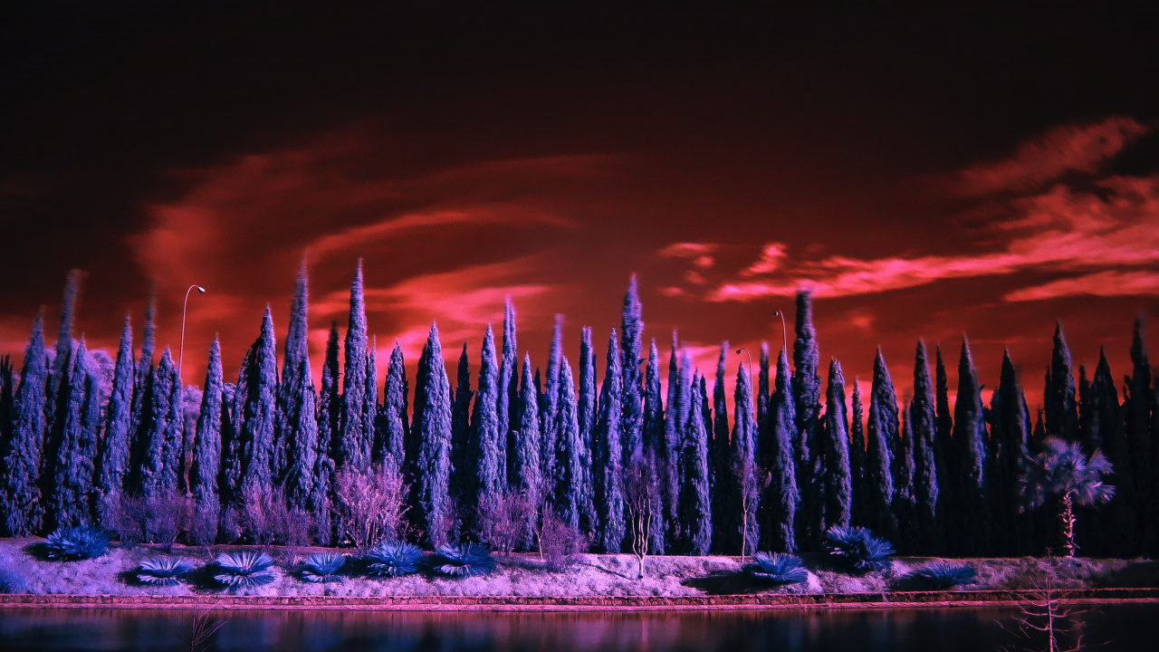 Natur, Reflexion, Wasser, Purpur, Veilchen. Wallpaper in 1280x720 Resolution