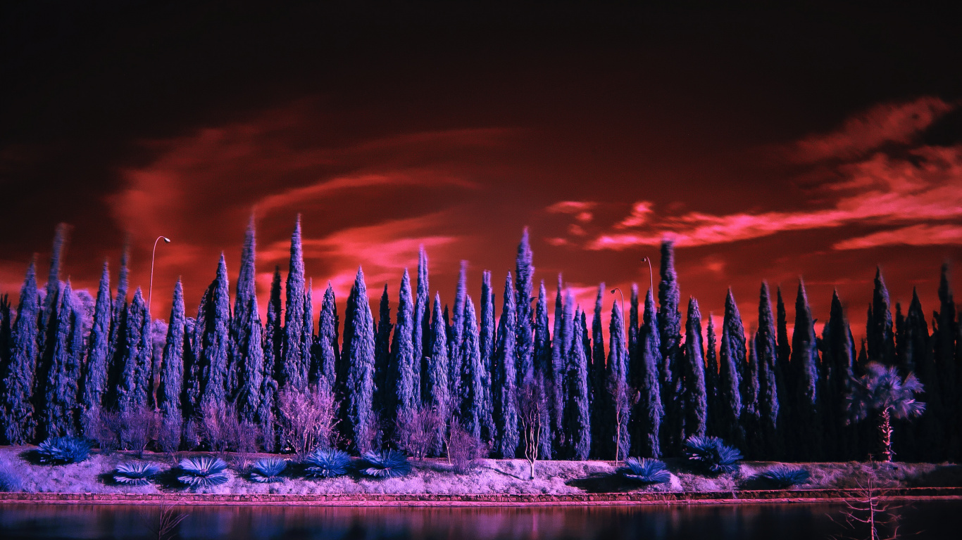 Naturaleza, Reflexión, Agua, Morado, Violeta. Wallpaper in 1366x768 Resolution