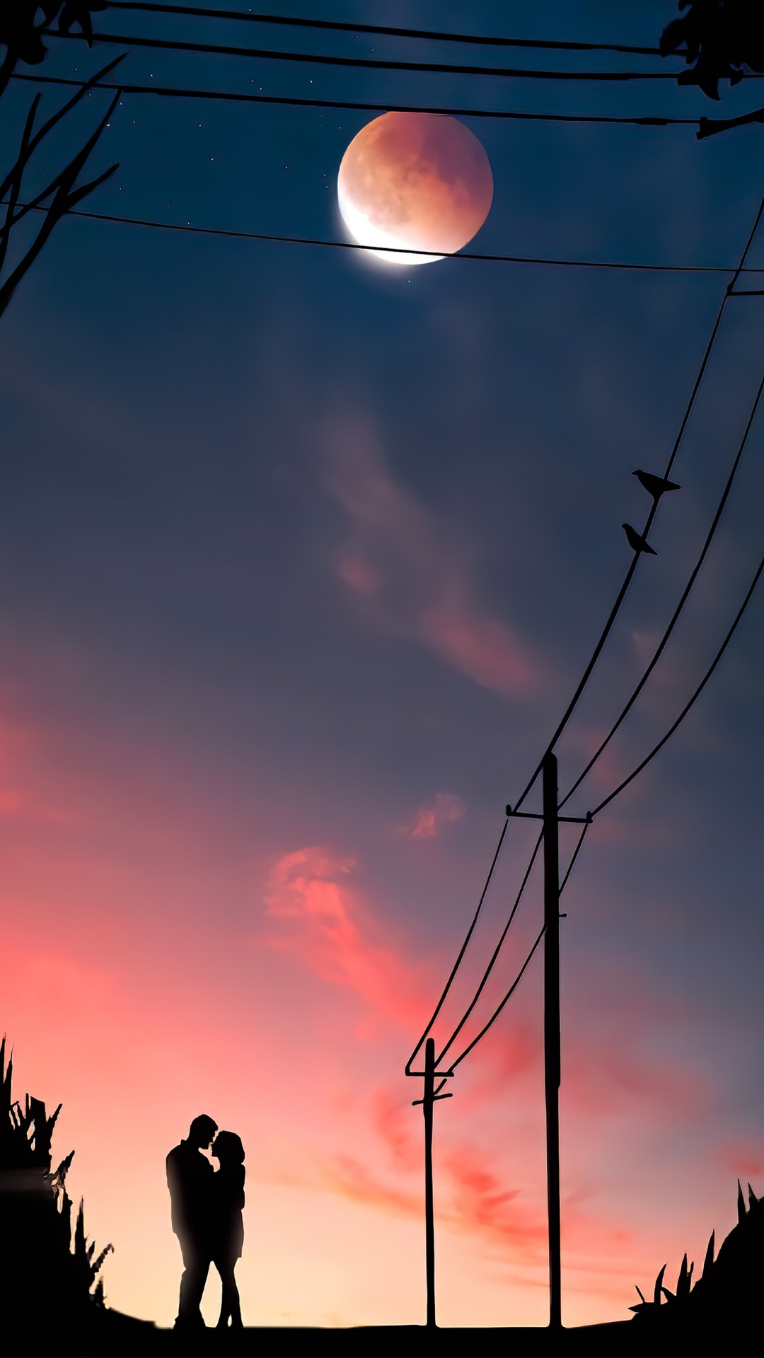 Ambiente, Luz, Naturaleza, Azul, la Luz de Calle. Wallpaper in 1080x1920 Resolution