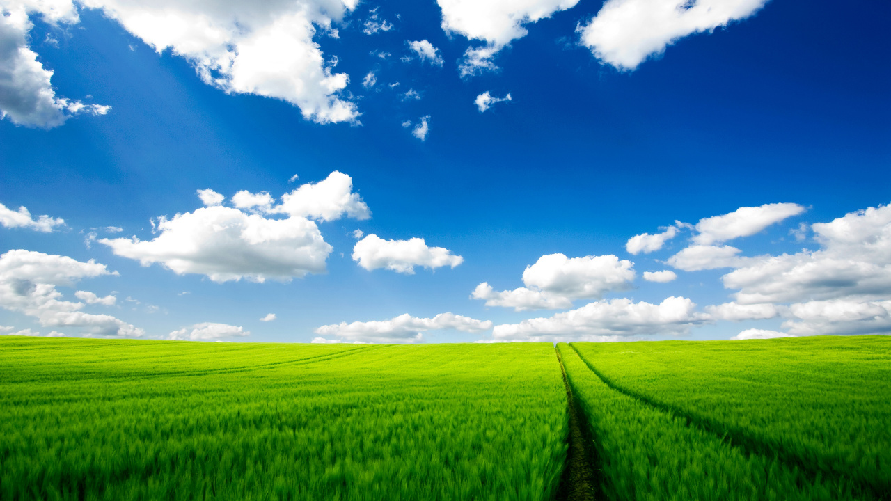 Champ D'herbe Verte Sous Ciel Bleu et Nuages Blancs Pendant la Journée. Wallpaper in 1280x720 Resolution