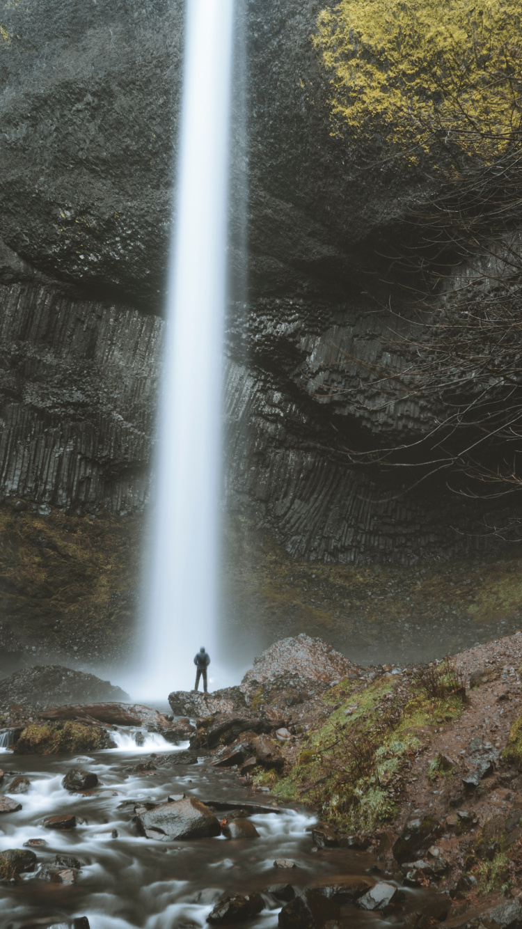 Nature Reserve, Water Feature, Water, Oregon, Old Growth Forest. Wallpaper in 750x1334 Resolution