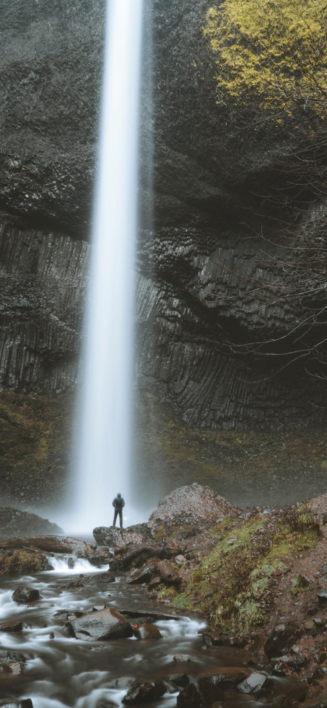 Naturschutzgebiet, Wasserspiel, Wasser, Oregon, Den Alten Wald. Wallpaper in 1125x2436 Resolution