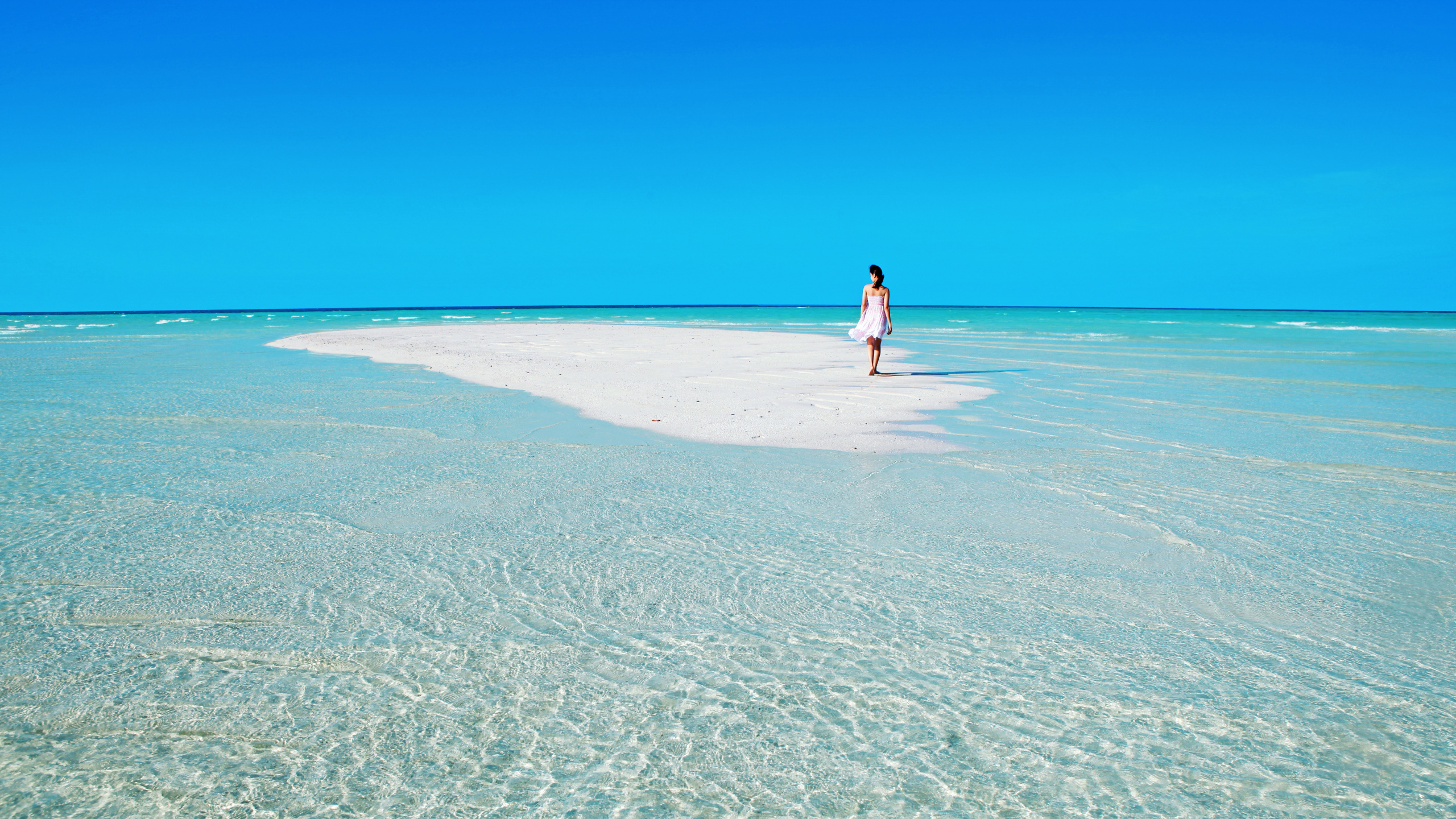 Woman in White Shirt Walking on Beach During Daytime. Wallpaper in 2560x1440 Resolution