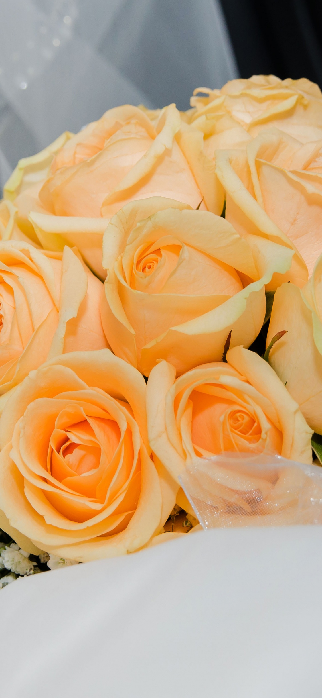 Flower Bouquet, Flower, Wedding, Garden Roses, Bride. Wallpaper in 1125x2436 Resolution