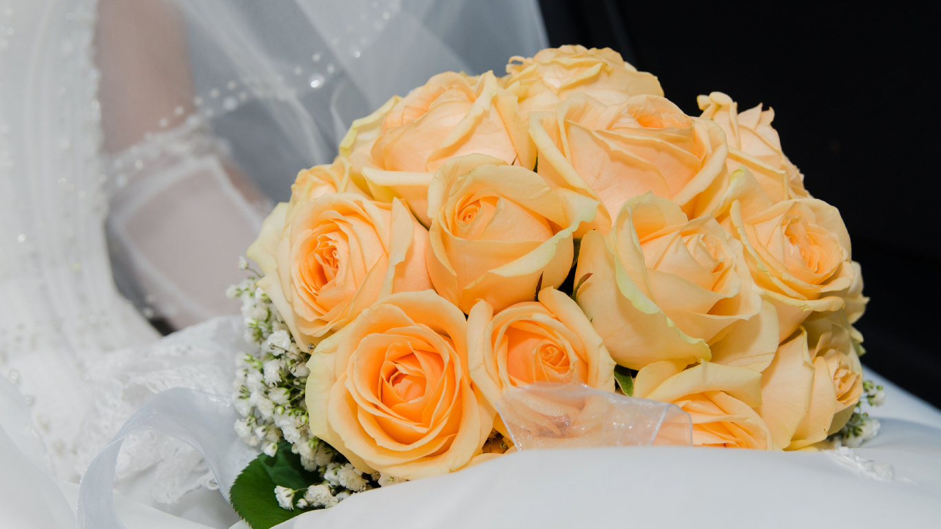 Flower Bouquet, Flower, Wedding, Garden Roses, Bride. Wallpaper in 1366x768 Resolution