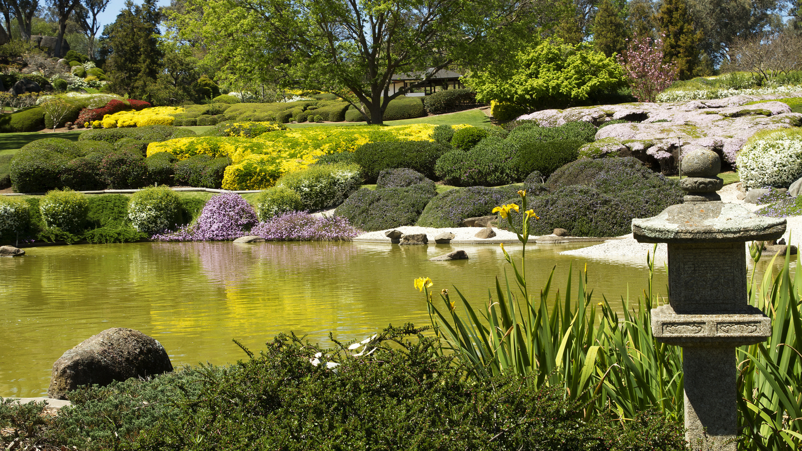 植物园, 性质, 花园, 池塘, 植被 壁纸 2560x1440 允许