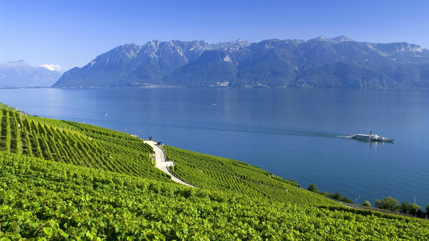 Green Grass Field Near Body of Water During Daytime. Wallpaper in 1366x768 Resolution