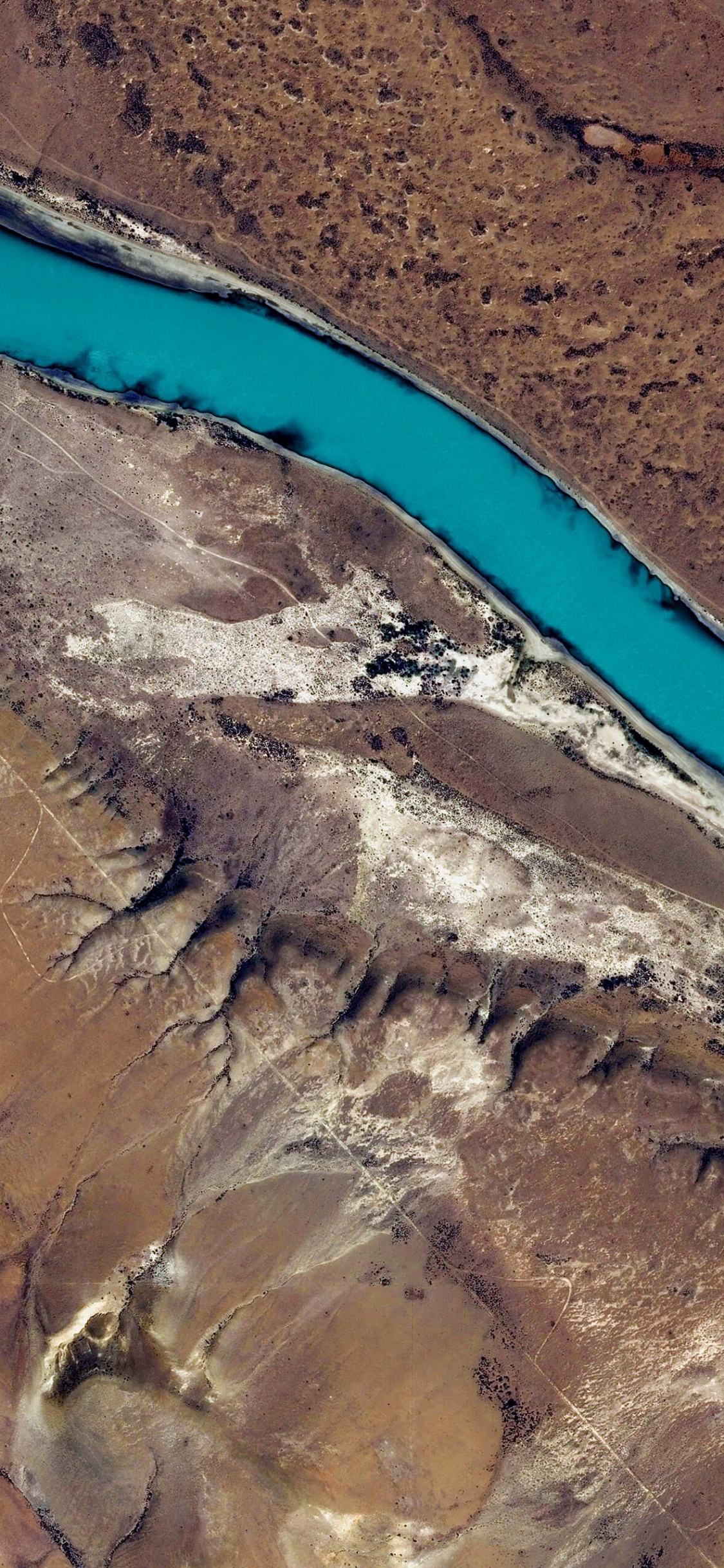 Nexus 6P, Android Malvavisco, Android, Nexus 6, Google. Wallpaper in 1125x2436 Resolution