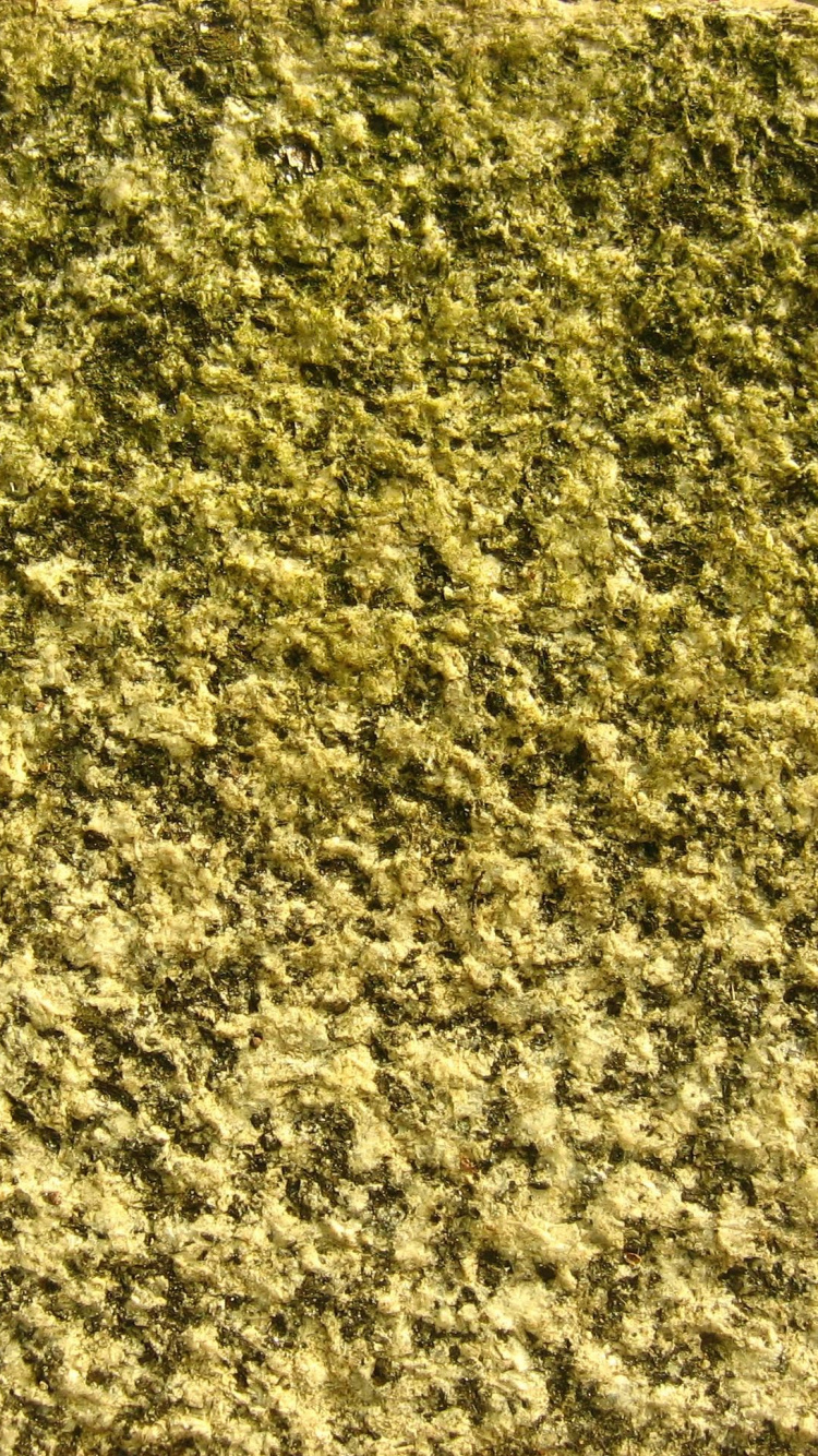 草, 纹理 壁纸 750x1334 允许