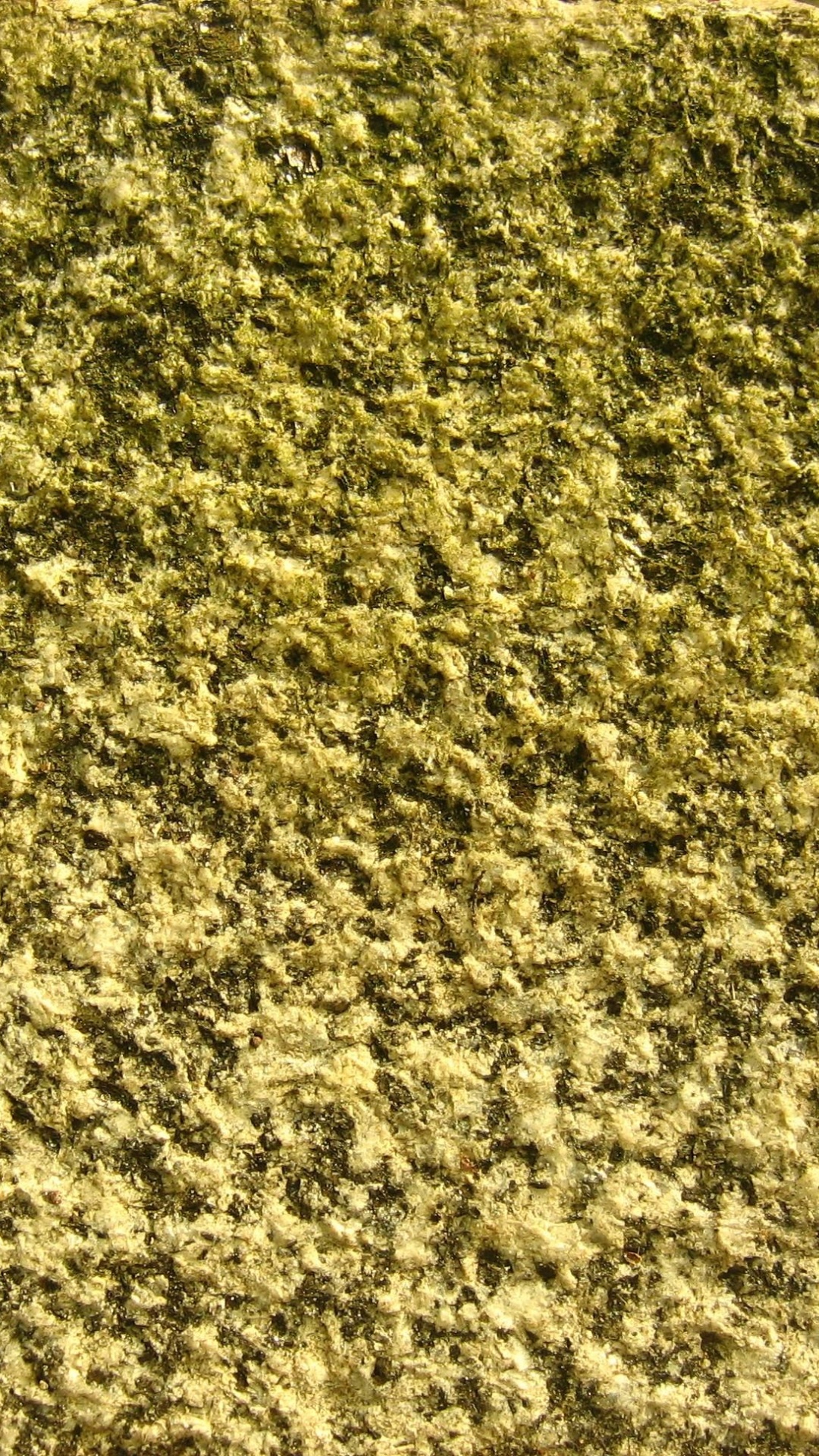 Abstrakte Schwarz-Weiß-Malerei. Wallpaper in 1080x1920 Resolution