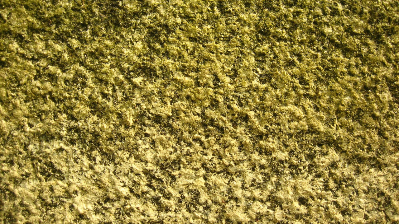 Abstrakte Schwarz-Weiß-Malerei. Wallpaper in 1280x720 Resolution