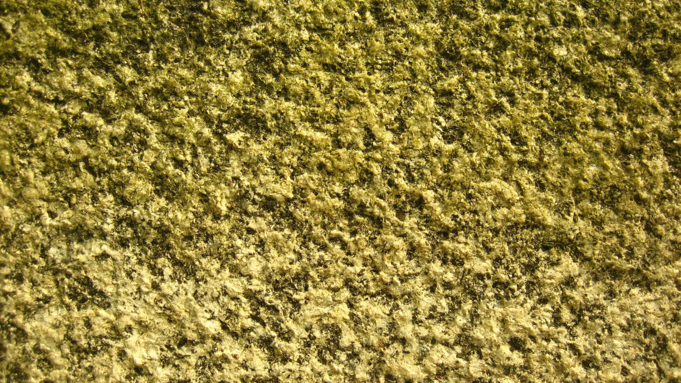 Abstrakte Schwarz-Weiß-Malerei. Wallpaper in 1366x768 Resolution