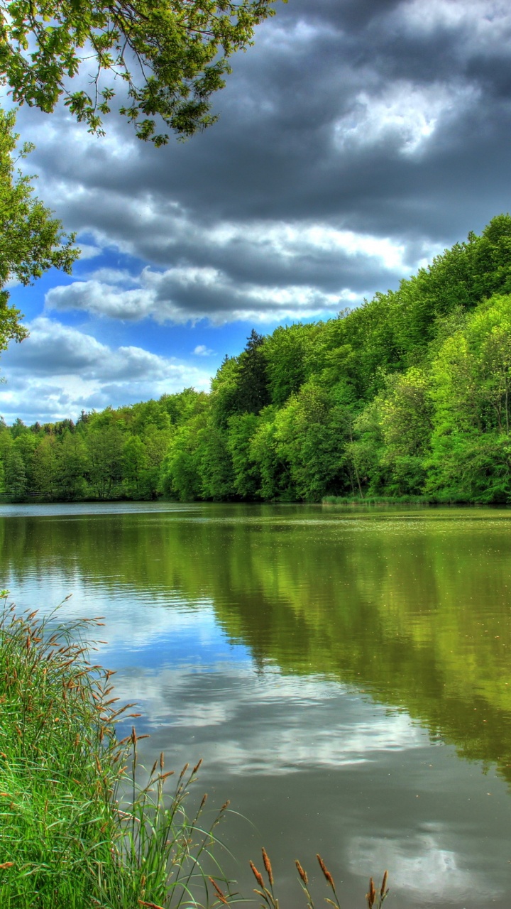 Árboles Verdes Junto al Río Bajo un Cielo Azul Durante el Día. Wallpaper in 720x1280 Resolution