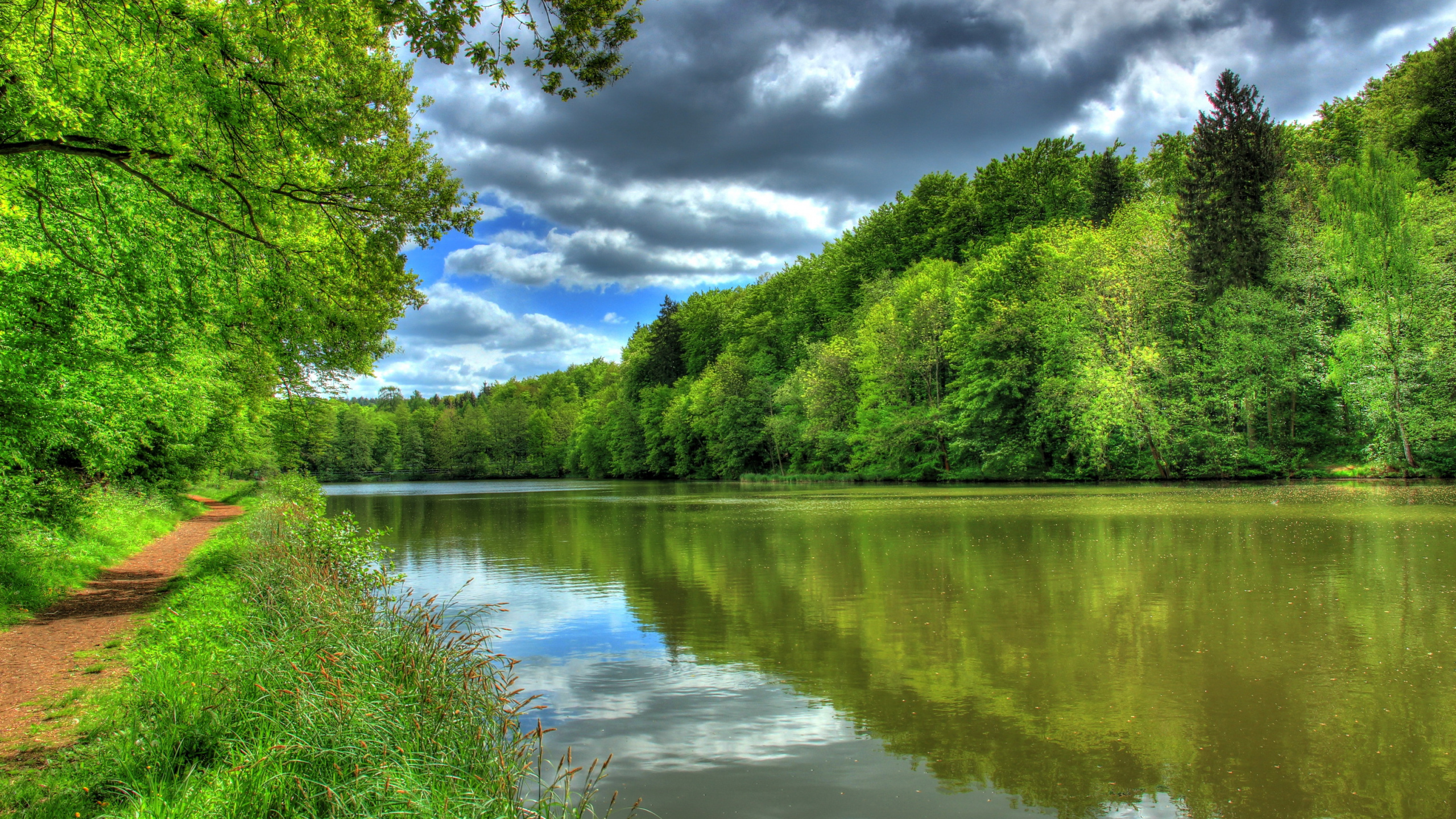 Green Trees Beside River Under Blue Sky During Daytime. Wallpaper in 2560x1440 Resolution