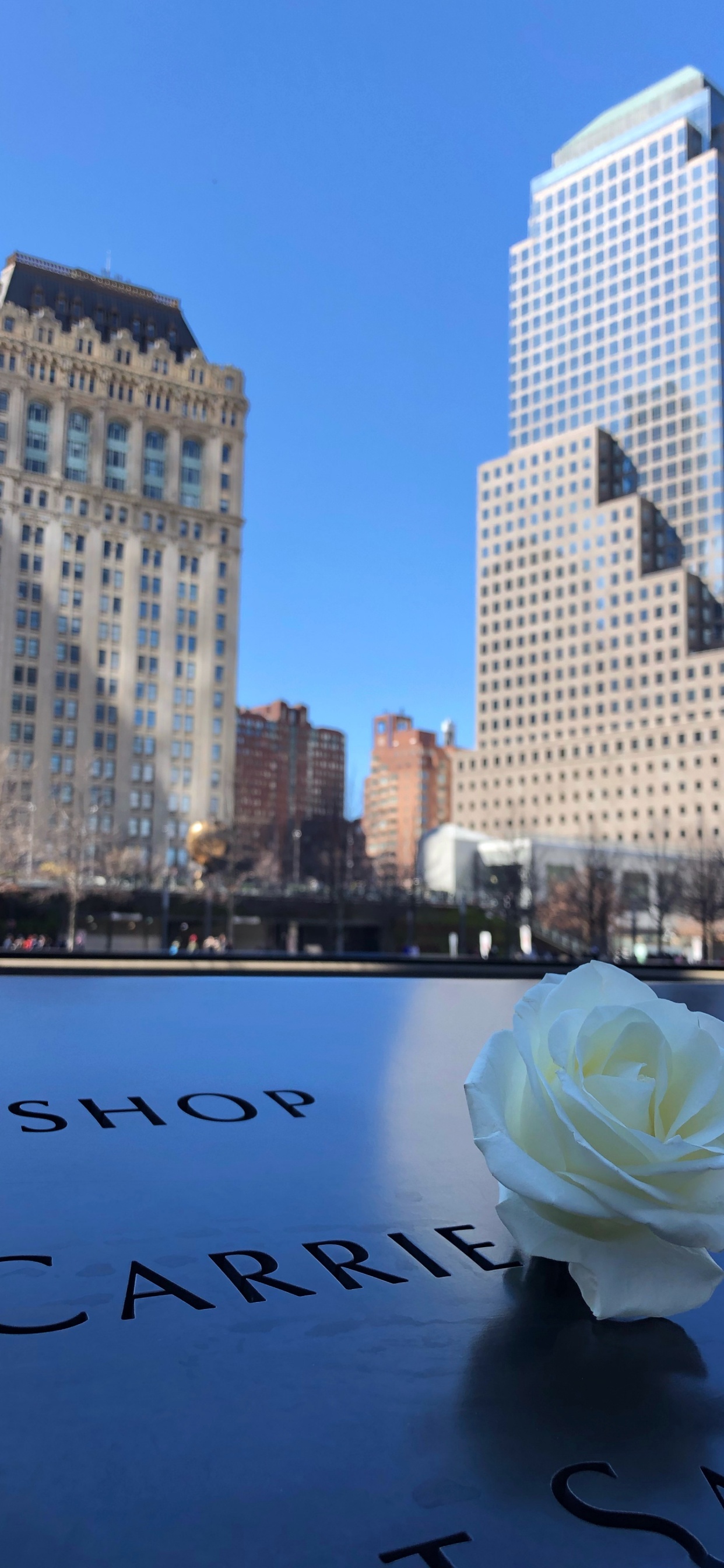 White and Brown Concrete Building During Daytime. Wallpaper in 1242x2688 Resolution
