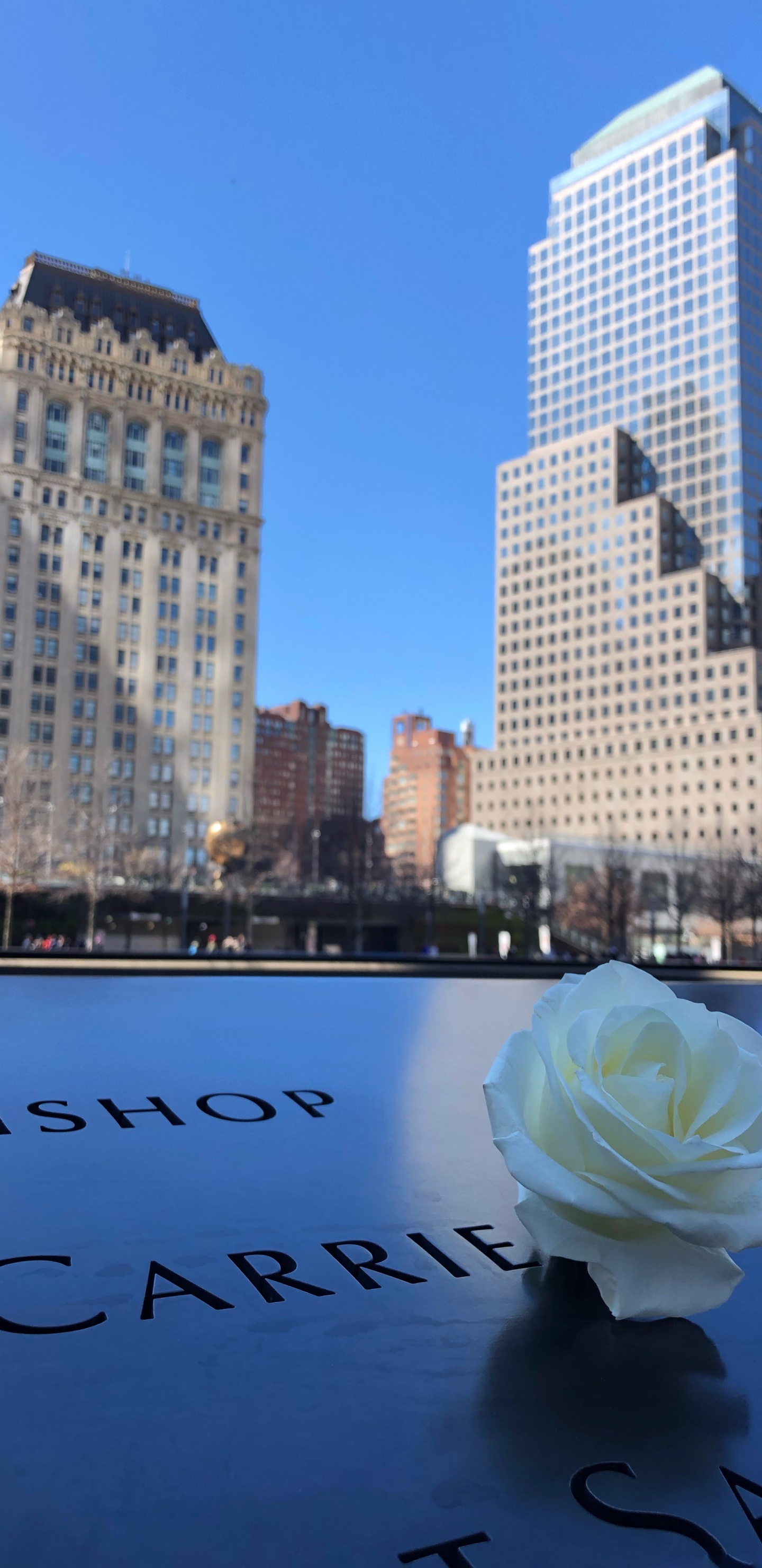 White and Brown Concrete Building During Daytime. Wallpaper in 1440x2960 Resolution