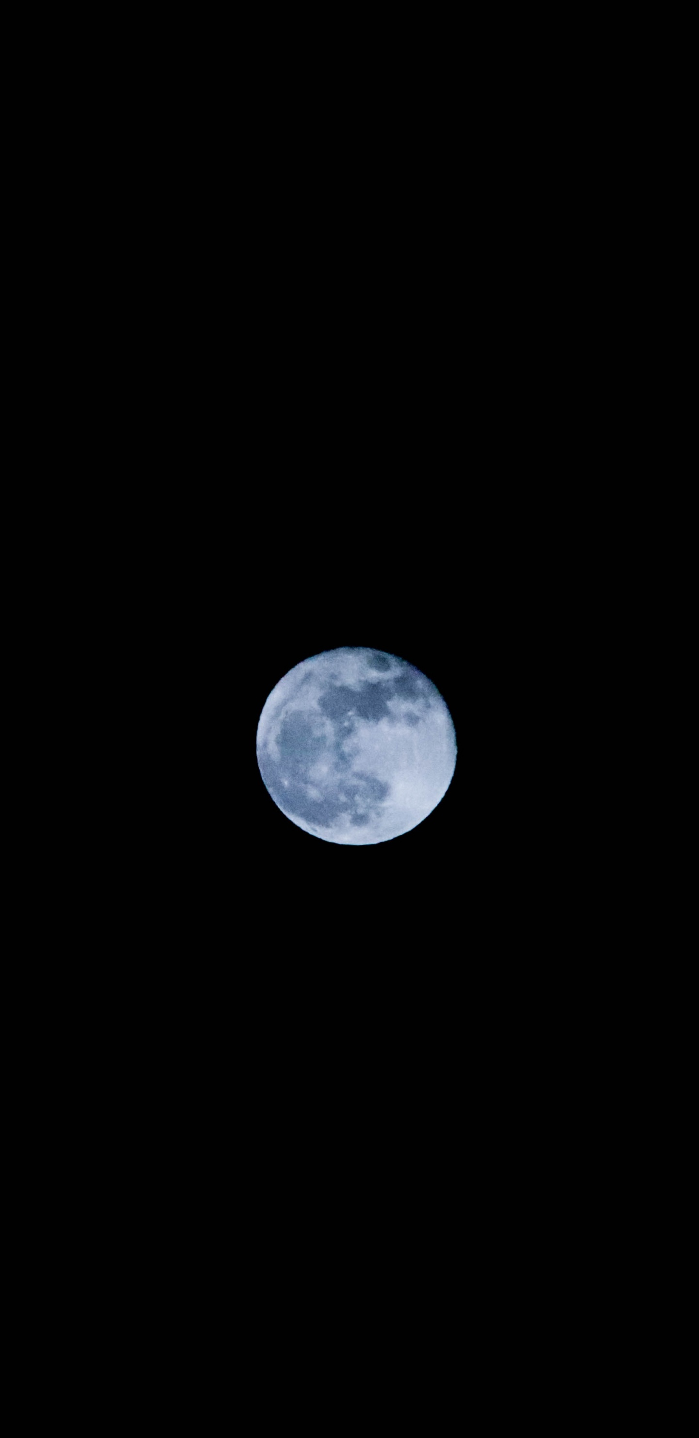 Pleine Lune Dans le Ciel. Wallpaper in 1440x2960 Resolution