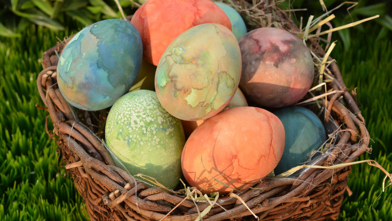 Easter Egg, Egg, Easter Basket, Easter Bunny, Nest. Wallpaper in 1280x720 Resolution