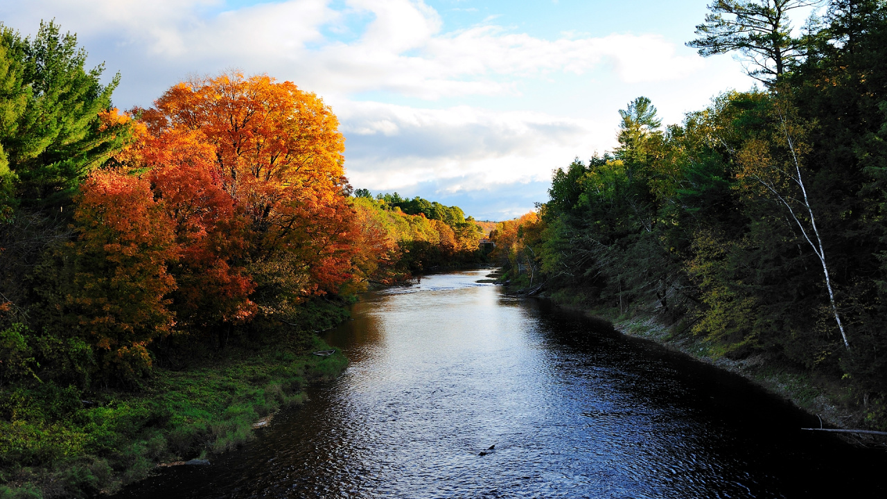 Rivière Entre Les Arbres Sous Ciel Nuageux Pendant la Journée. Wallpaper in 1280x720 Resolution