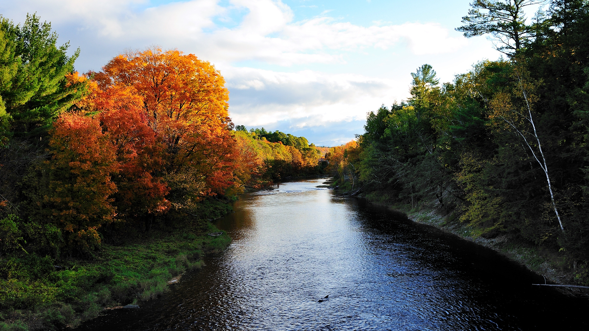 Rivière Entre Les Arbres Sous Ciel Nuageux Pendant la Journée. Wallpaper in 1920x1080 Resolution