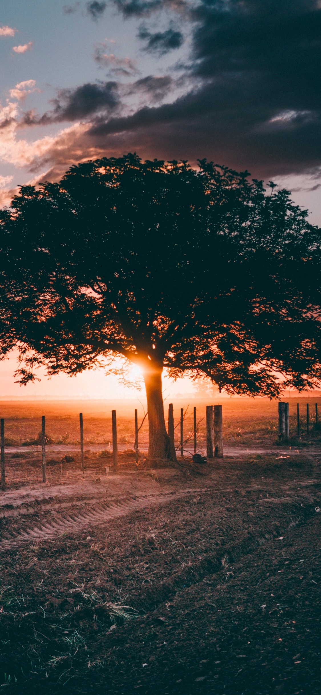 Fall Evening, Evening, Cloud, Atmosphere, Ecoregion. Wallpaper in 1125x2436 Resolution