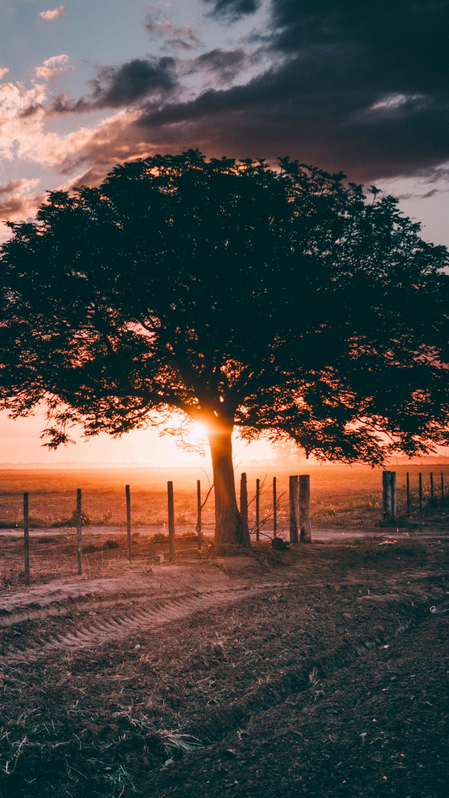 Fall Evening, Evening, Cloud, Atmosphere, Ecoregion. Wallpaper in 1440x2560 Resolution