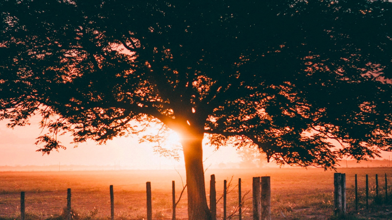 Tarde de Otoño, Noche, Ambiente, Ecorregión, Paisaje Natural. Wallpaper in 1366x768 Resolution