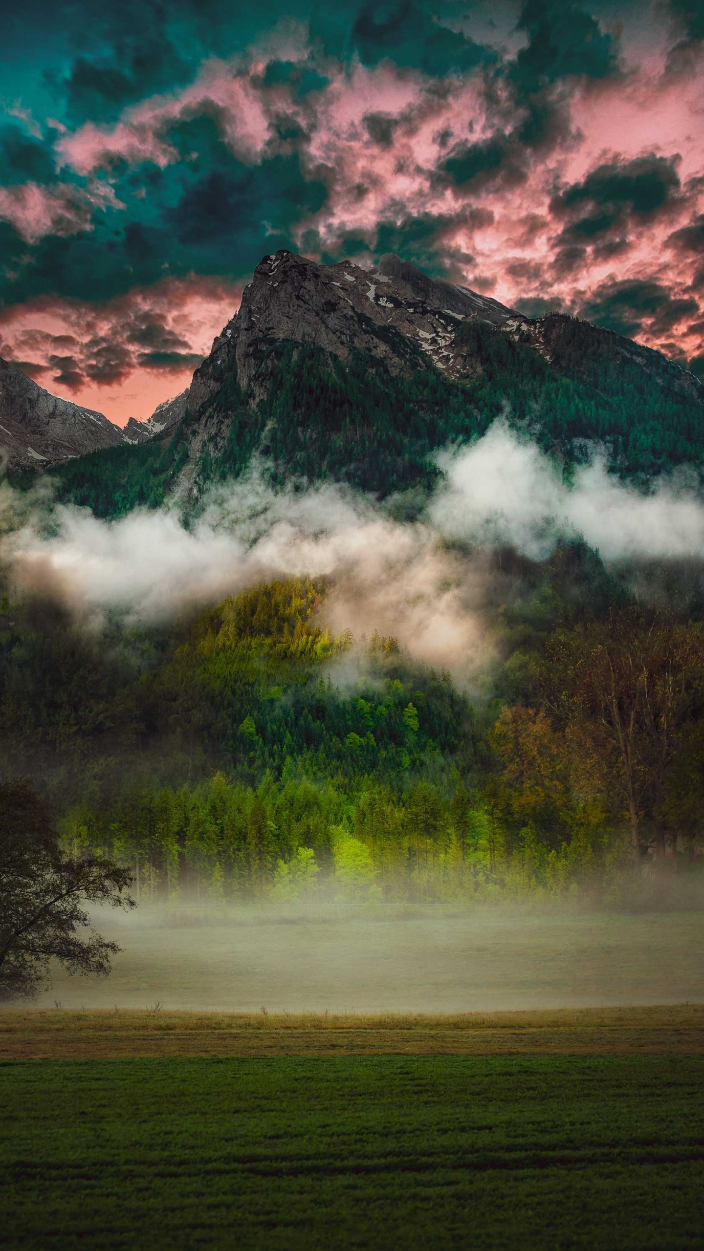 Cloud, Natur, Naturlandschaft, Gr, Baum. Wallpaper in 1440x2560 Resolution