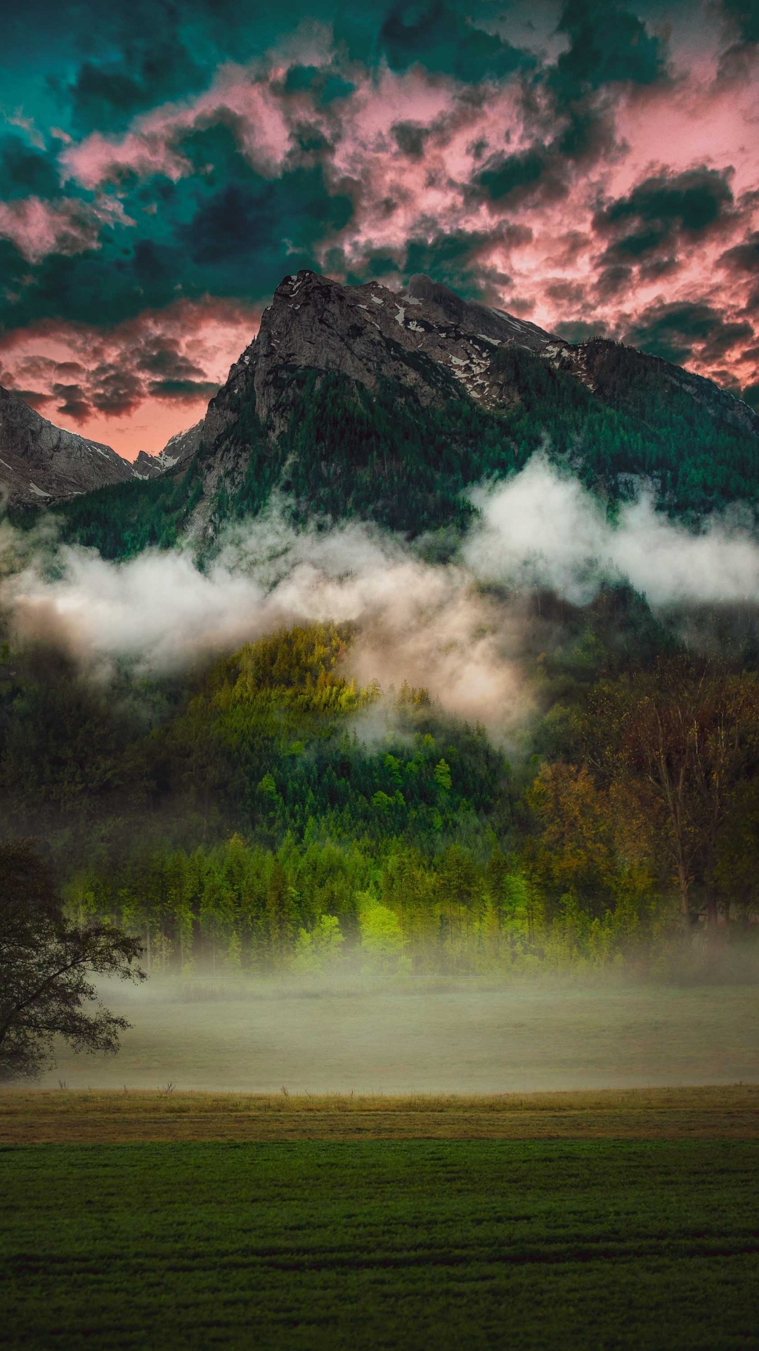 Cloud, Nature, Natural Landscape, Green, Tree. Wallpaper in 1080x1920 Resolution