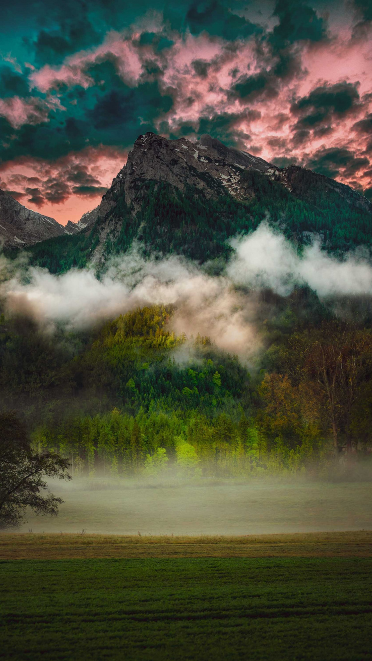 Cloud, Nature, Natural Landscape, Green, Tree. Wallpaper in 750x1334 Resolution