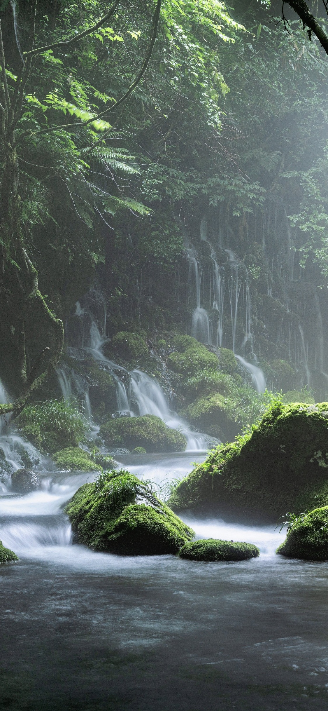 Agua, Los Recursos de Agua, Ecorregión, Primavera, Paisaje Natural. Wallpaper in 1125x2436 Resolution
