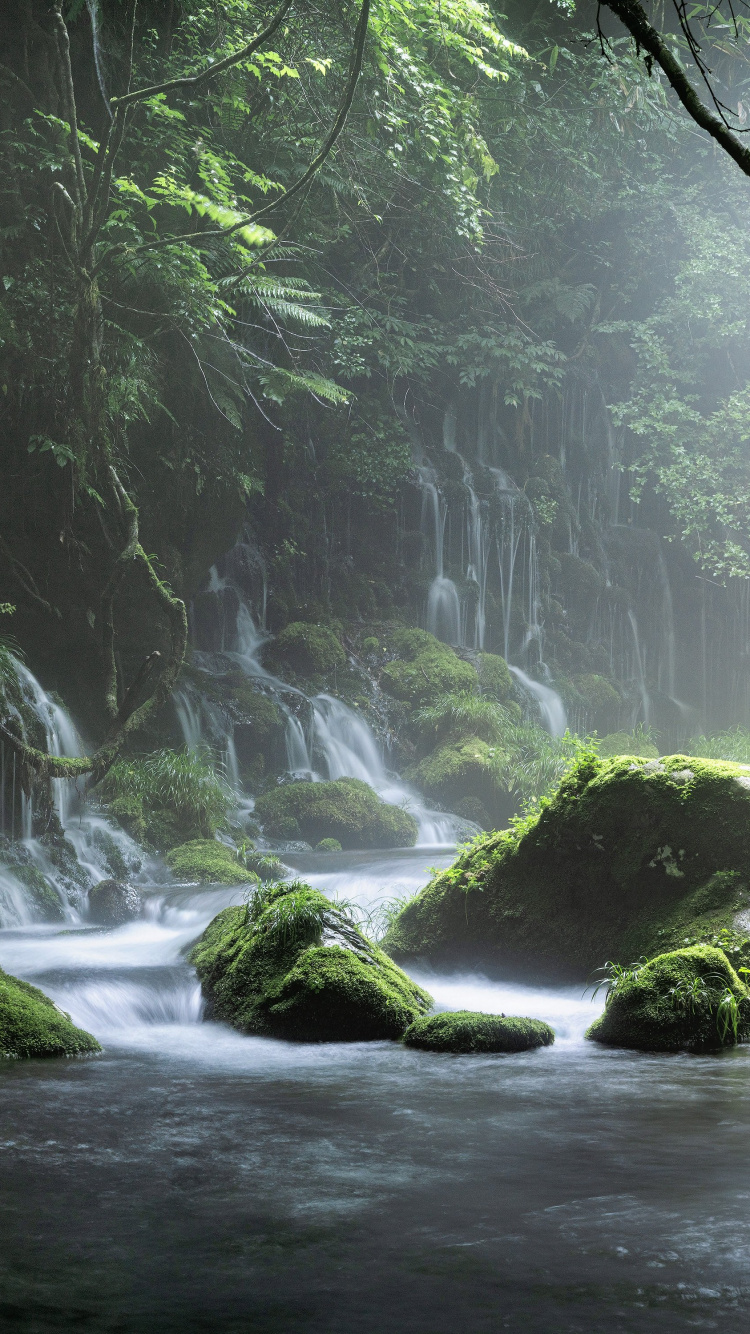 Agua, Los Recursos de Agua, Ecorregión, Primavera, Paisaje Natural. Wallpaper in 750x1334 Resolution