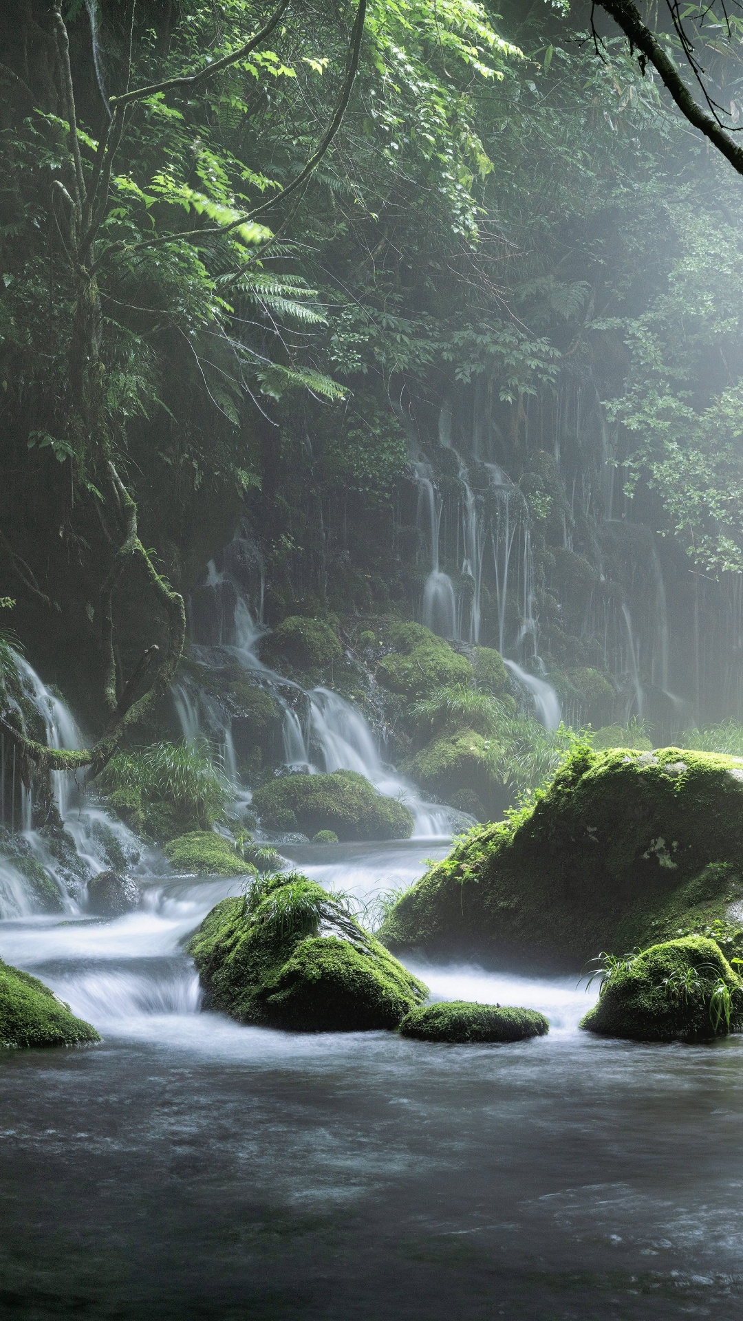 Water, Plant, Water Resources, Ecoregion, Spring. Wallpaper in 1080x1920 Resolution