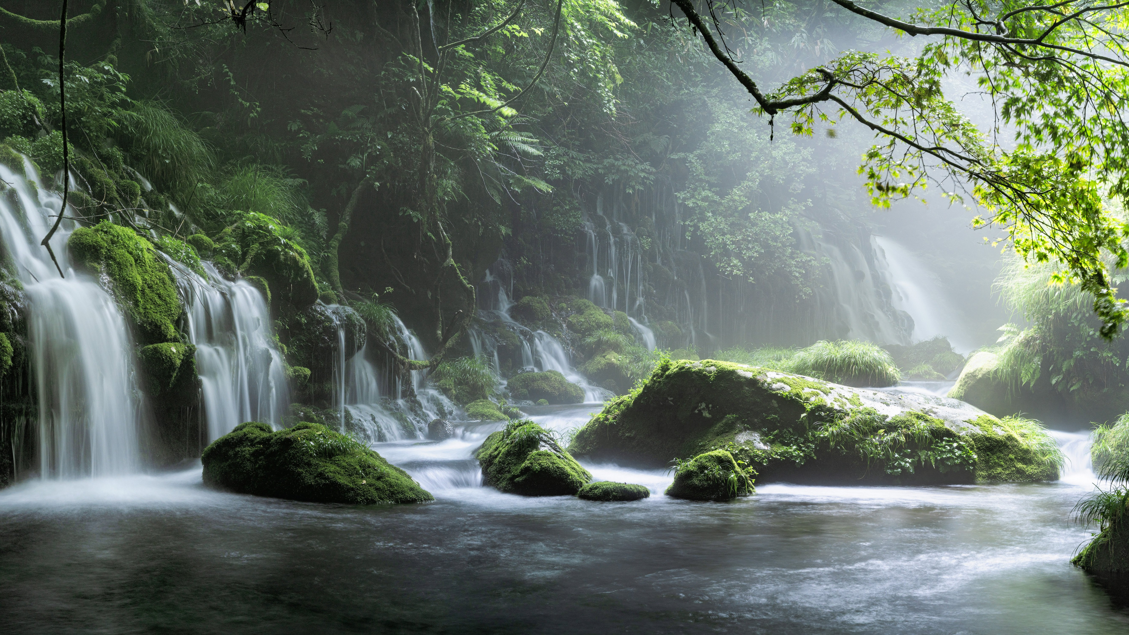 Water, Plant, Water Resources, Ecoregion, Spring. Wallpaper in 3840x2160 Resolution
