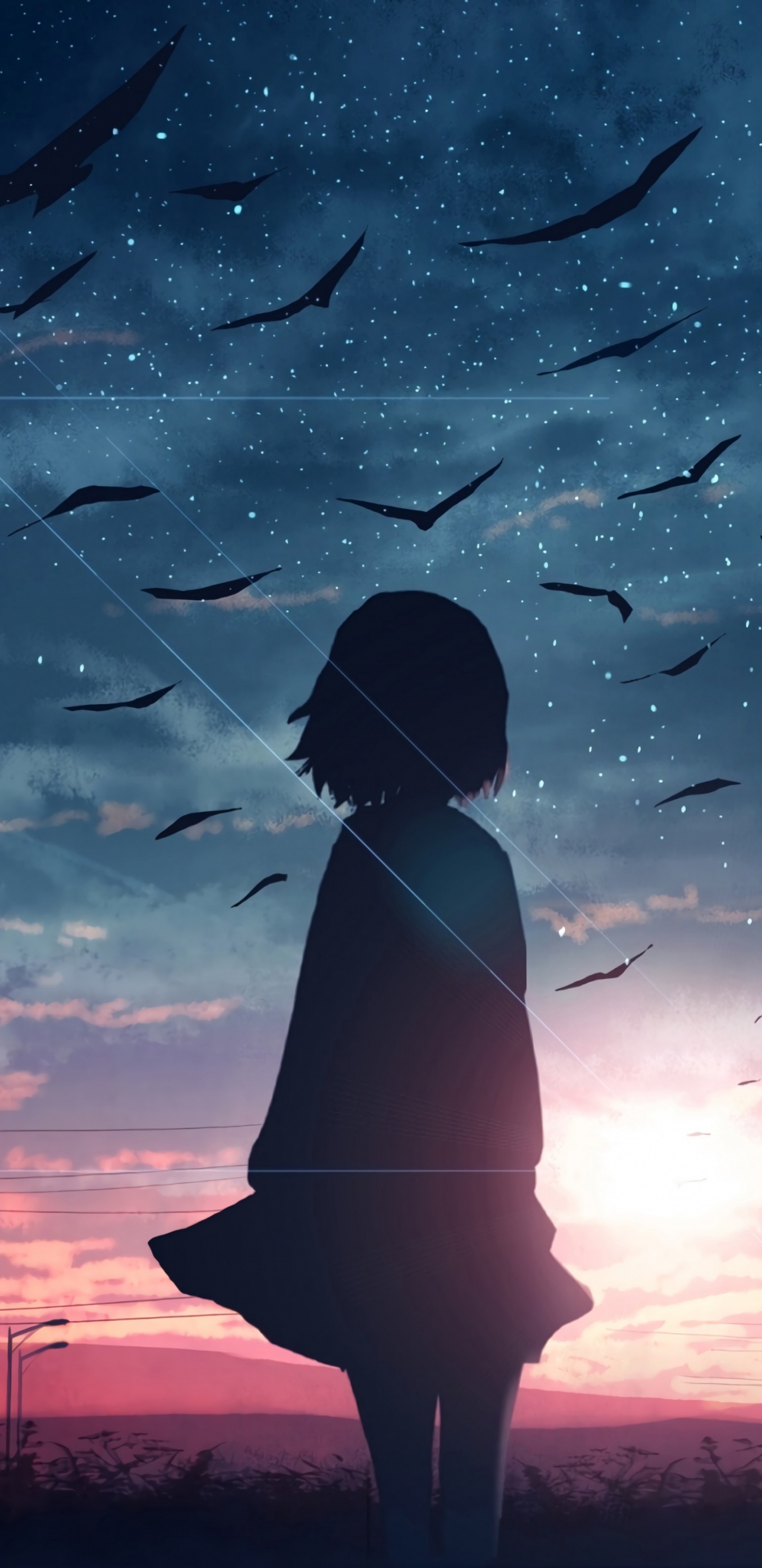 Anime Brillante, Anime, Ilustración, Manga, Ambiente. Wallpaper in 1440x2960 Resolution