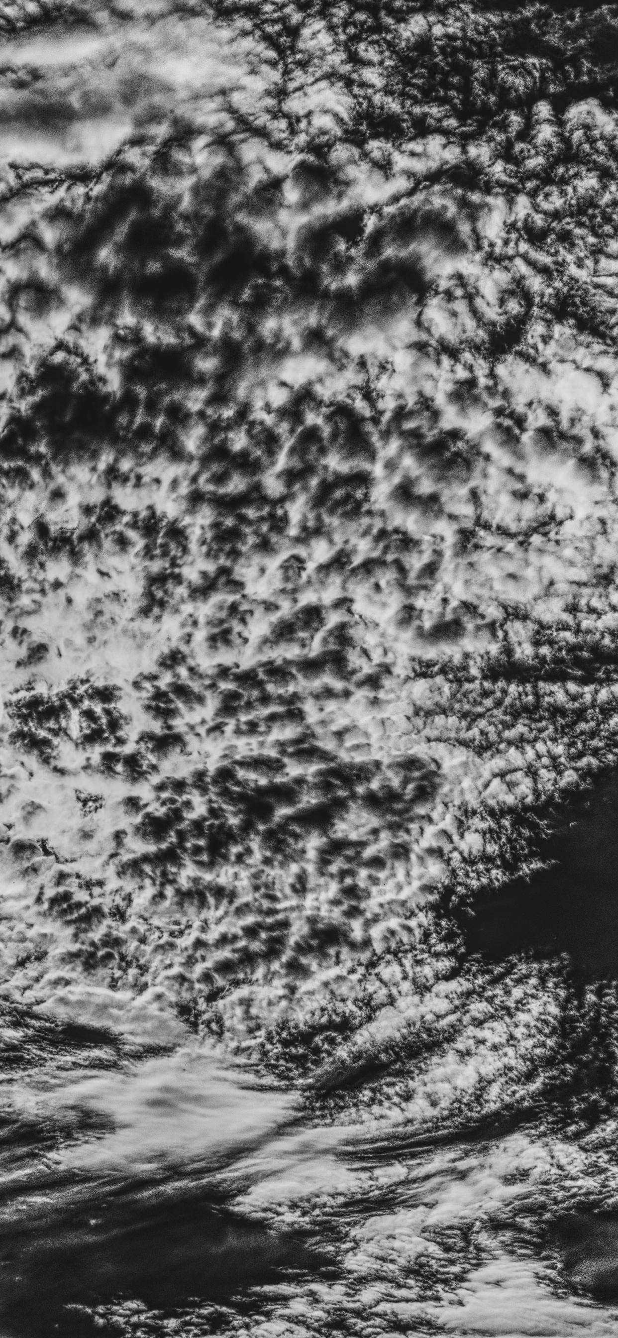 Vague D'eau Dans la Photographie en Niveaux de Gris. Wallpaper in 1242x2688 Resolution