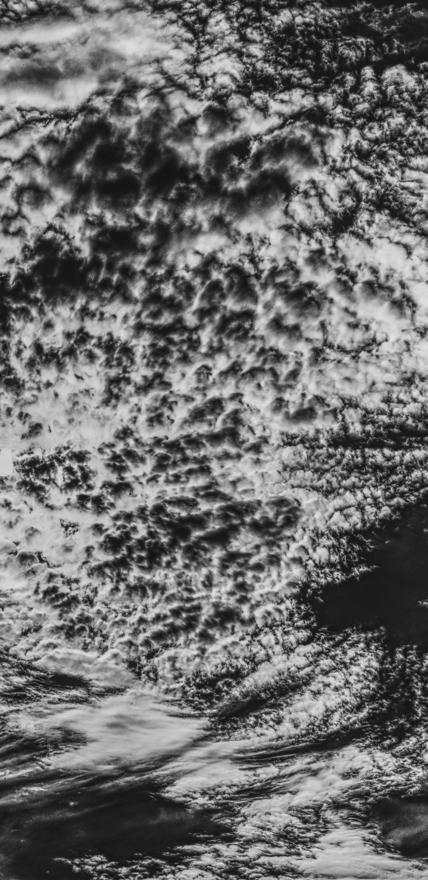 Wasserwelle in Der Graustufenfotografie. Wallpaper in 1440x2960 Resolution