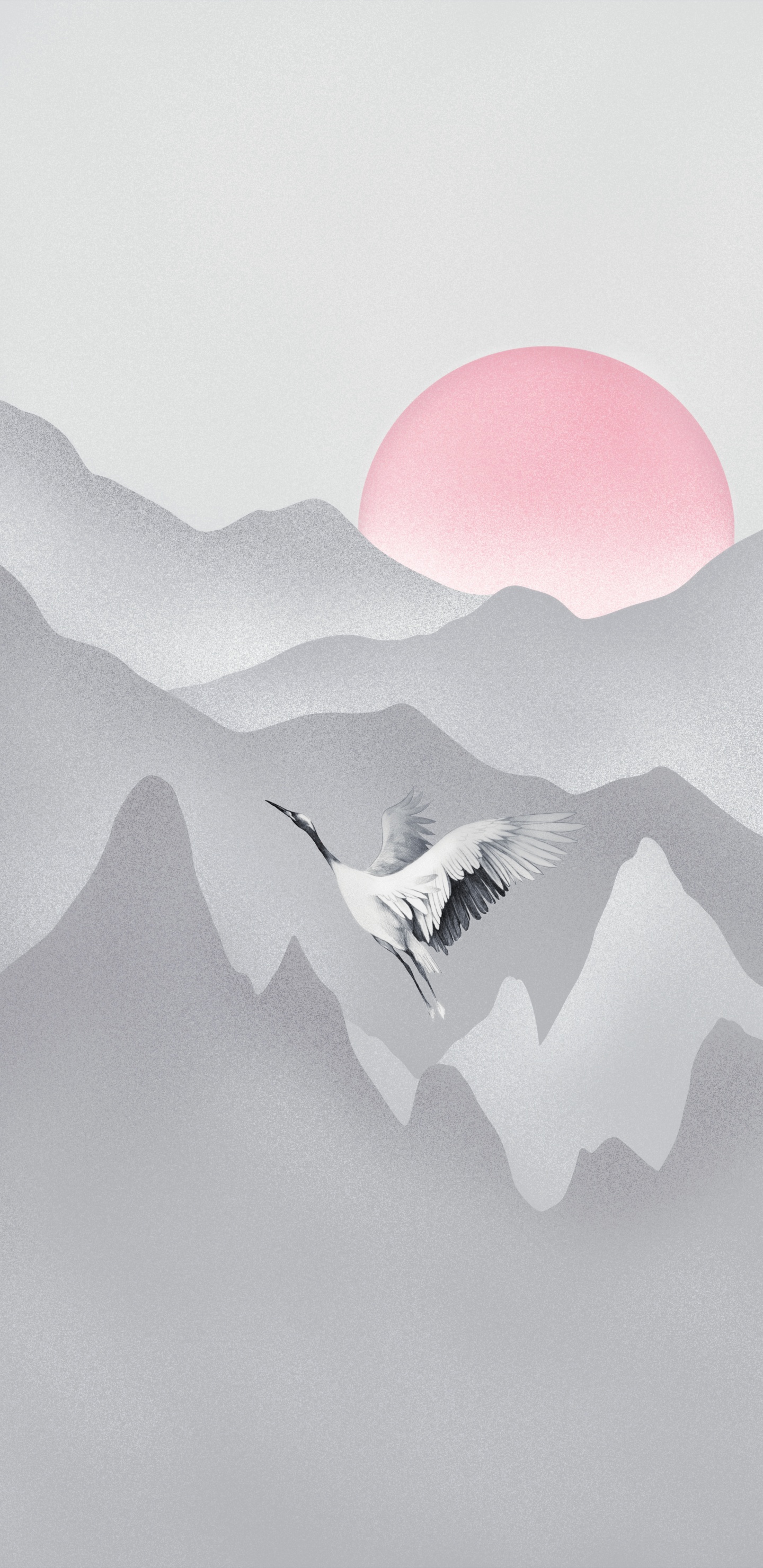 气氛, 斜坡, 翼, 空中旅行, 艺术 壁纸 1440x2960 允许