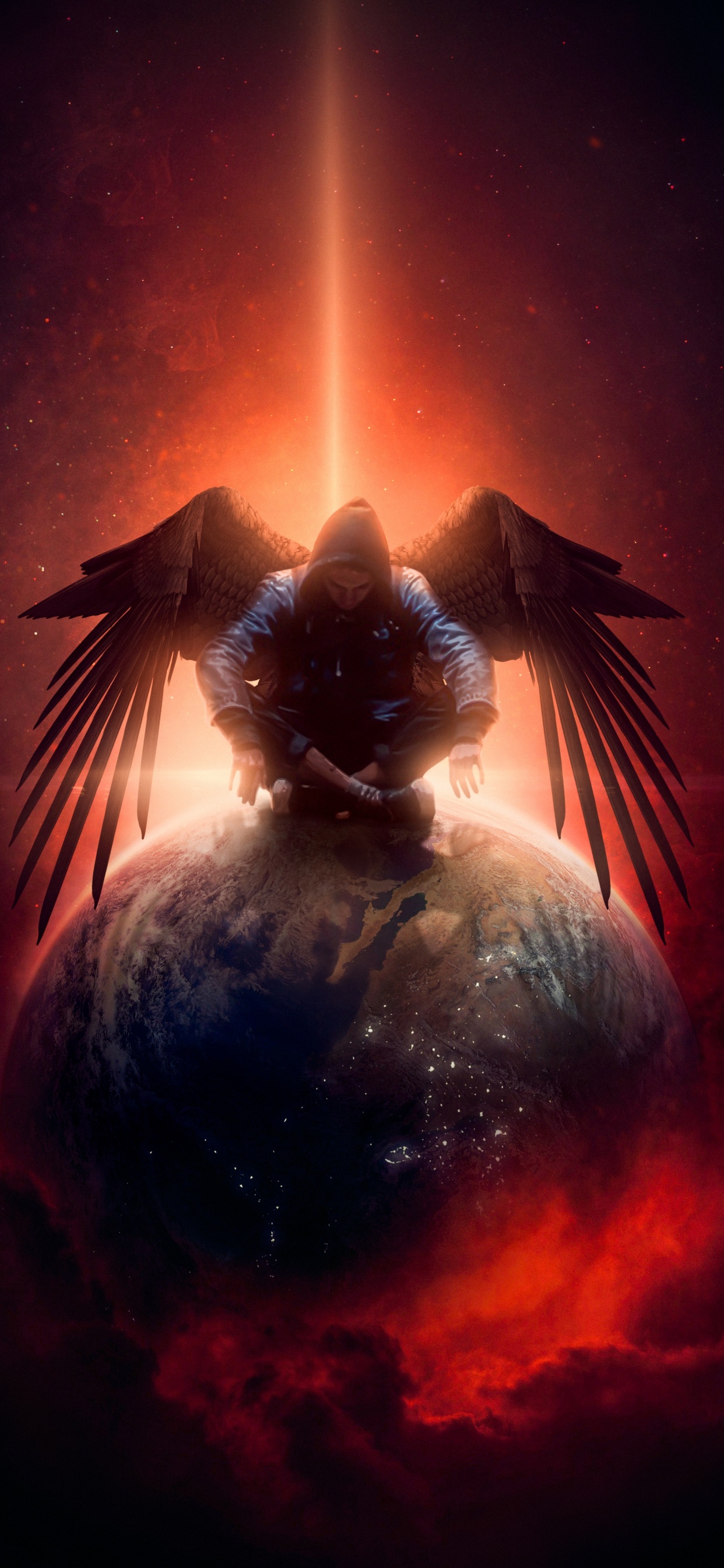 Falconiformes, graphic design, istx eu esg cl a se 50 eo, bird, lighting