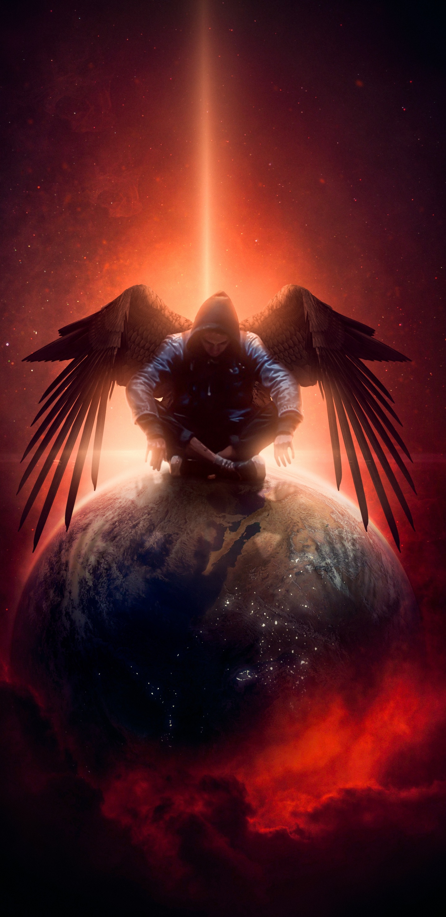 Falconiformes, graphic design, istx eu esg cl a se 50 eo, bird, lighting