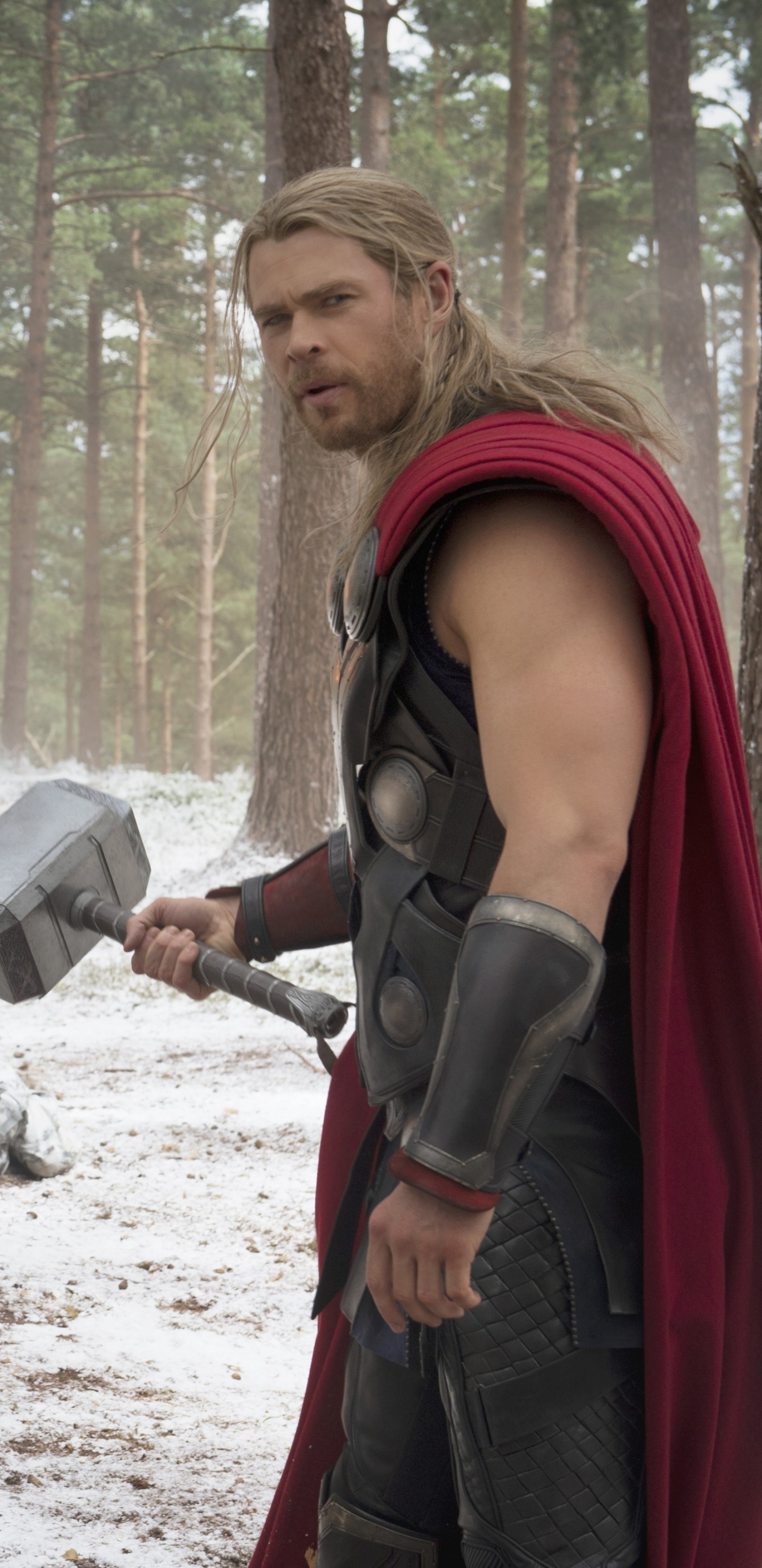 Man in Black and Red Vest Holding a Gray and Black Metal Axe. Wallpaper in 1440x2960 Resolution