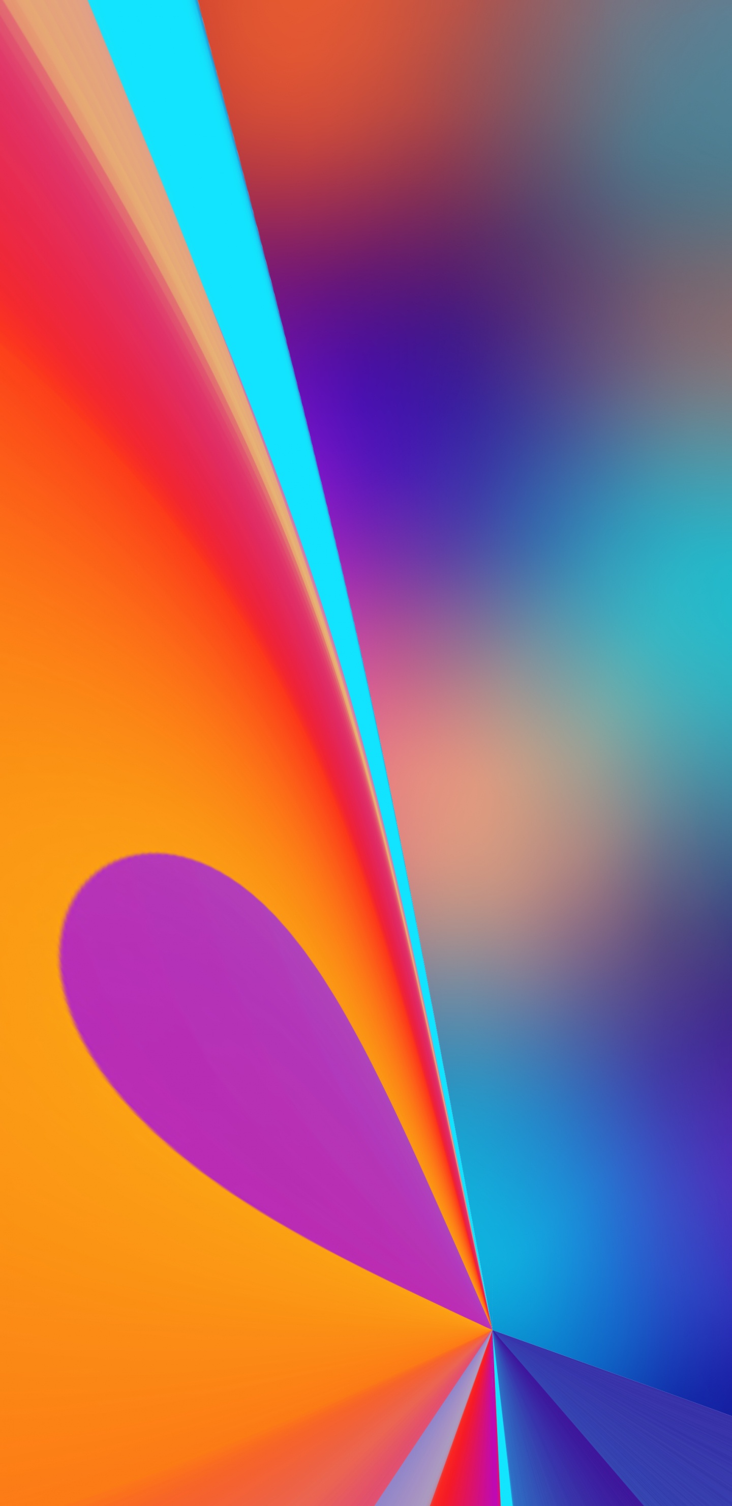 颜色, 橙色, 色彩, 品红色, 料酒店 壁纸 1440x2960 允许